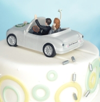 Honeymoon Bound Cake Toppers